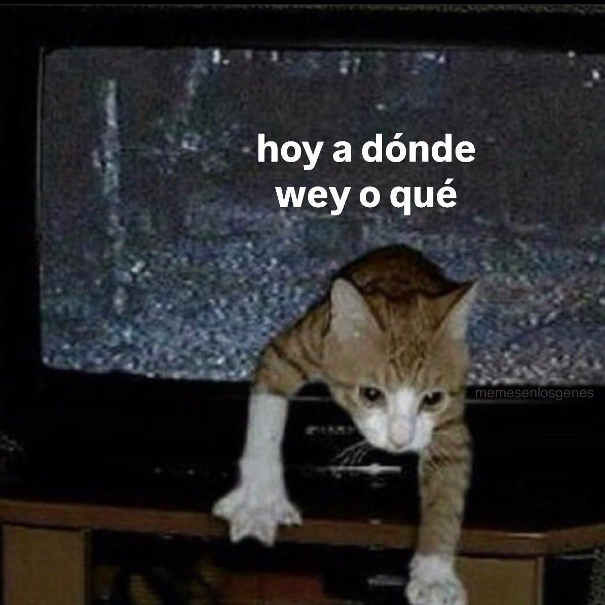conoloracigarro's tweet photo. https://t.co/oChfdF3Cp0