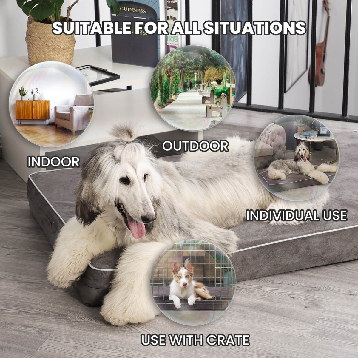 LaiFugVIP's tweet photo. Tired of your dog ruining your couch? Upgrade them to the LaiFug 318 Flat Orthopedic Memory Foam Dog Bed. Minimalist design, high-density support that contours to their body, and durable fabric made to withstand those playful scratchers! [🔗 https://t.co/g0sMnJdVzT https://t.co/3LOzIEI2P3