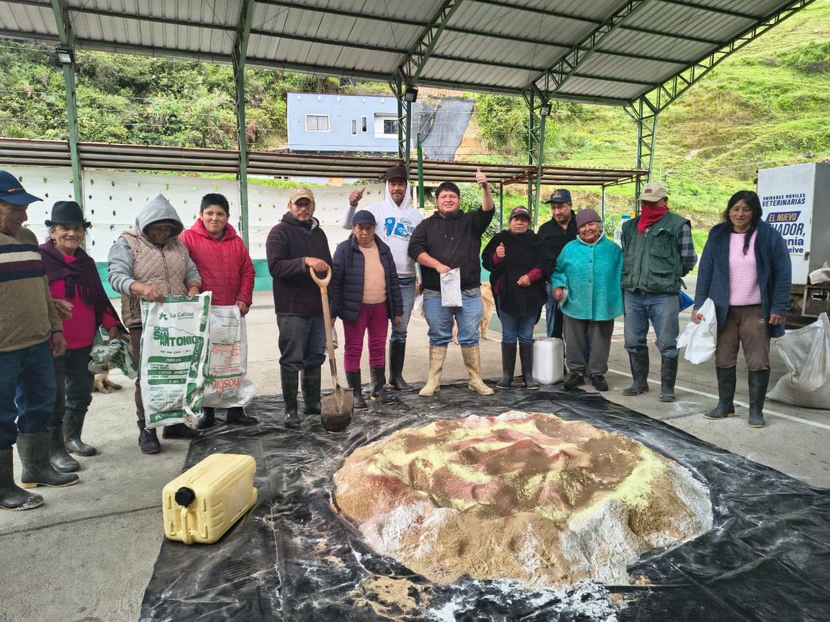 Agricultura_CZ6's tweet photo. #Azuay | Capacitamos en la elaboración de sales minerales y la importancia de su uso para la nutrición bovina en las parroquias Palmas y Amaluza de #SevillaDeOro 🐄. 

Impulsamos un mejor desarrollo productivo del ganado de nuestros productores. https://t.co/6LzgHjz9eY