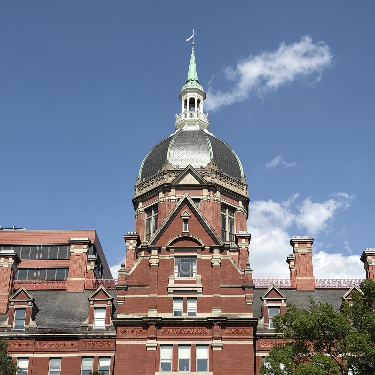 ommstwt's tweet photo. @HopkinsMedicine https://t.co/VtF6rA0eHU