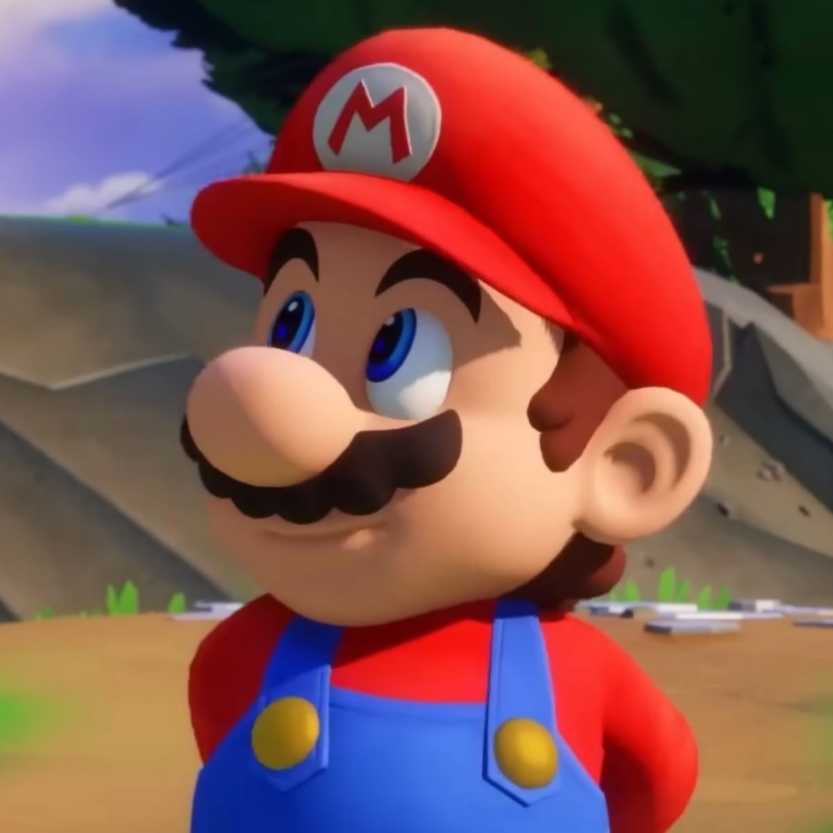 mariotwtconfess's tweet photo. "Mario is part of bear pride but y’all ain’t ready for that conversation" https://t.co/VCo0YpUTSe