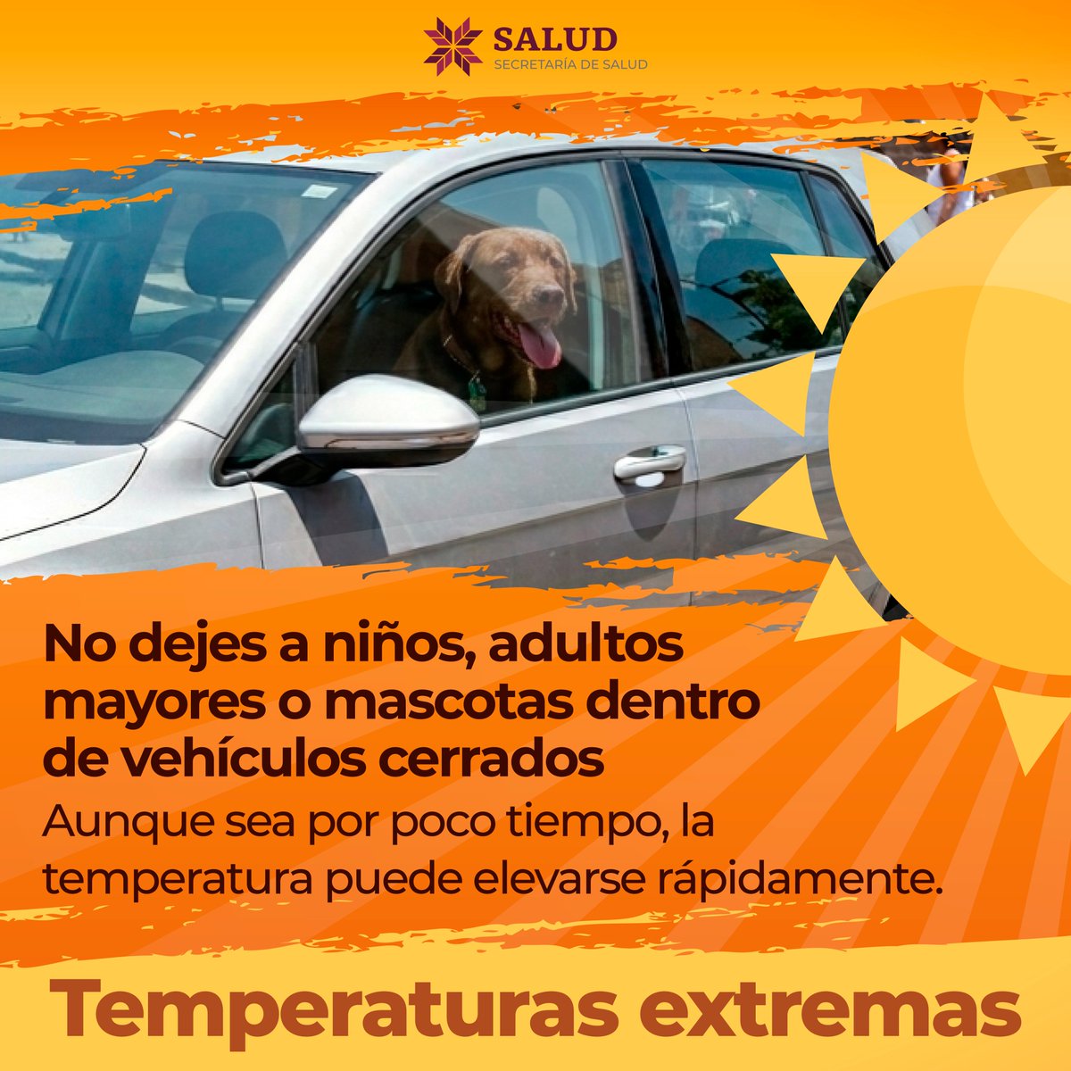 lasillarota's tweet photo. ☀️🚗 Un vehículo cerrado puede alcanzar temperaturas peligrosas en cuestión de minutos.

Nunca dejes a niñas, niños, personas mayores o mascotas dentro, aunque sea por poco tiempo.

#PrimeroTuSalud https://t.co/nFkeVnYzaK