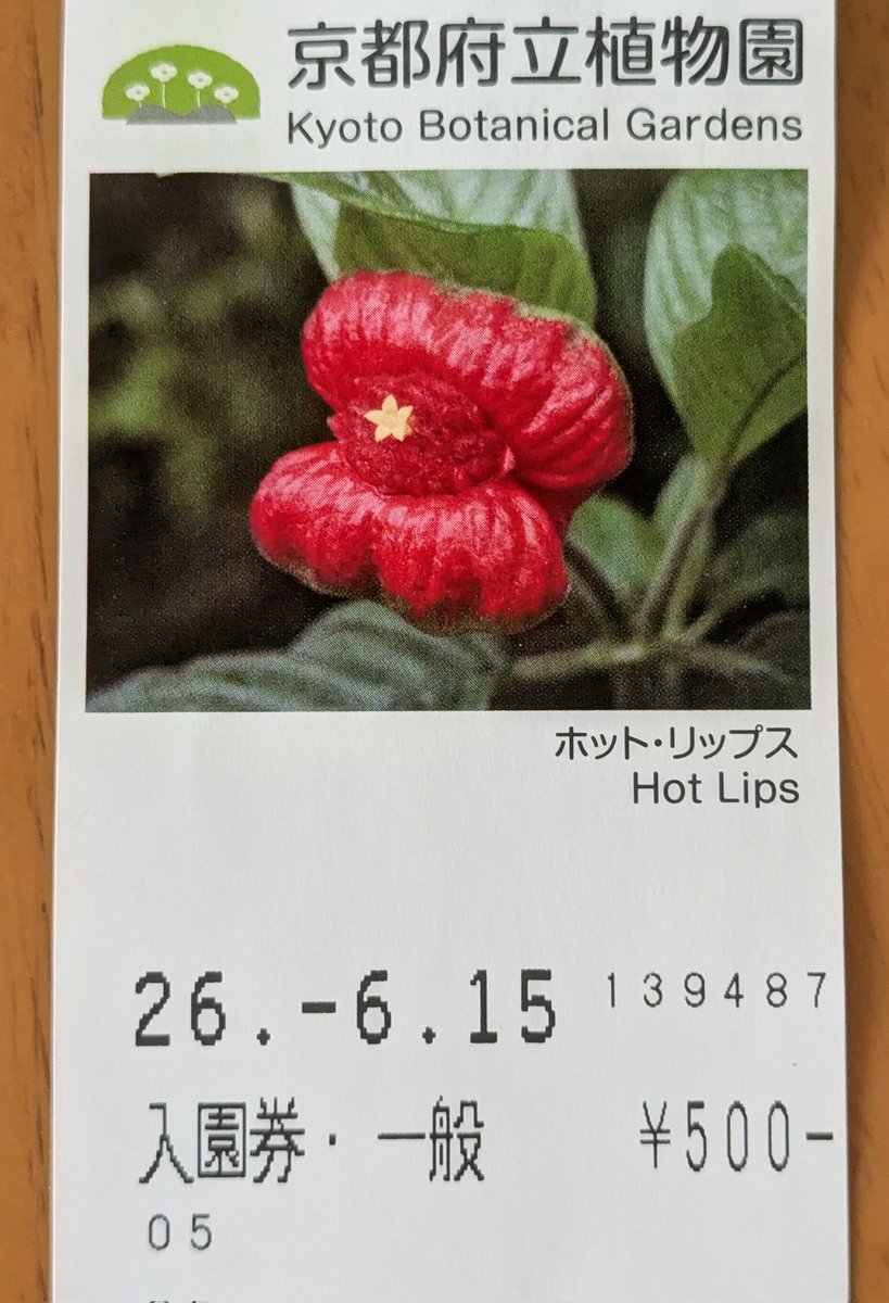 cameraoyaji250's tweet photo. Hot Lips -誘惑する唇-
京都府立植物園の入園券の写真の花…温室観覧入ってすぐありました。
見た目、ネーミングセンスともにインパクト強すぎです。
#京都府立植物園
#京都
#kyoto
#HotLips https://t.co/GiaZcxYHHg