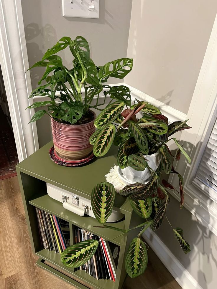 greenvibe's tweet photo. Green belongs everywhere. https://t.co/02k548lTPi
