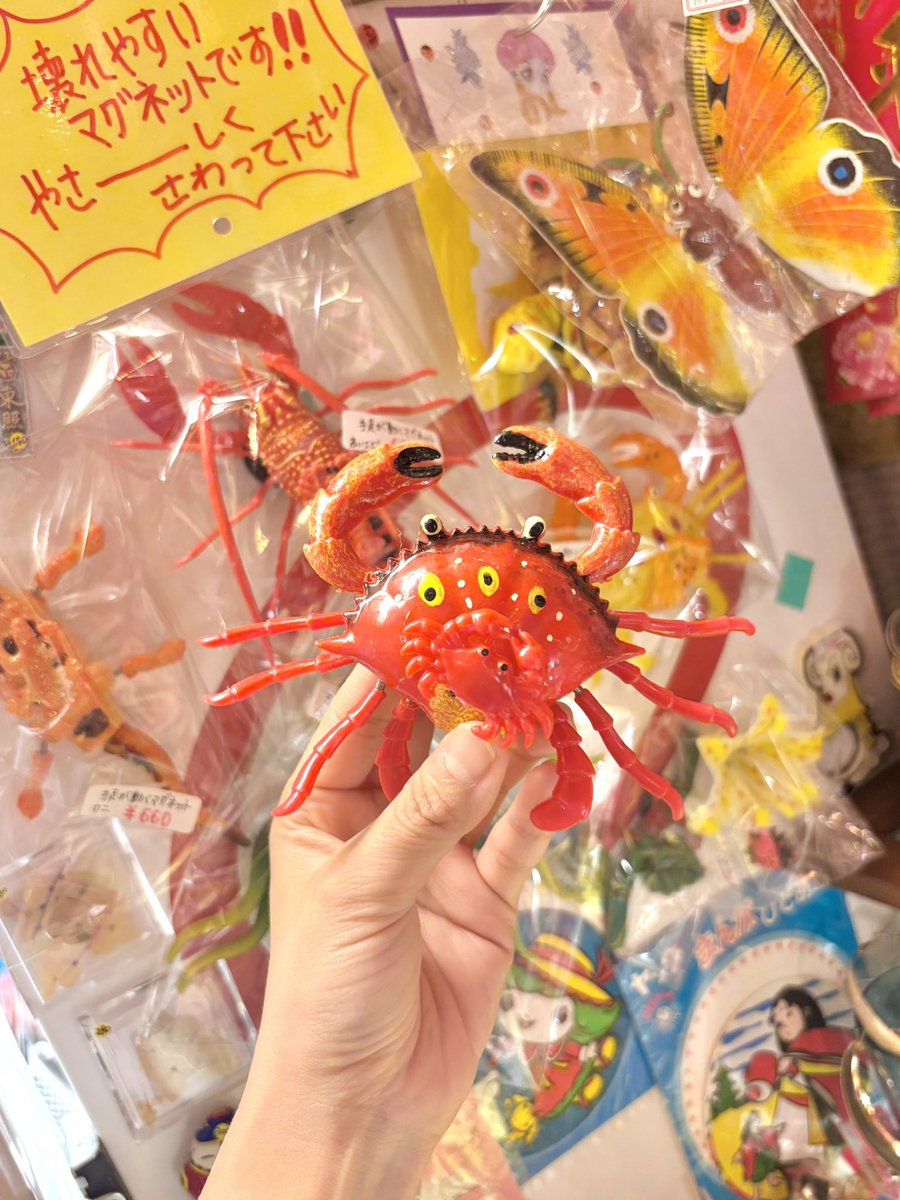🌈ガラクタや🪷ネバーランド🏰雑貨屋🕊️ (@ekodanogarakuta) / Posts / X