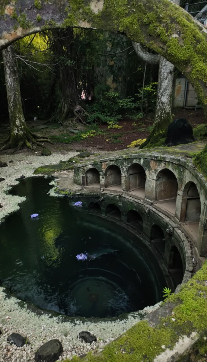 greenvibe's tweet photo. To get lost in the green is to find yourself. https://t.co/eX2PUxS1Od