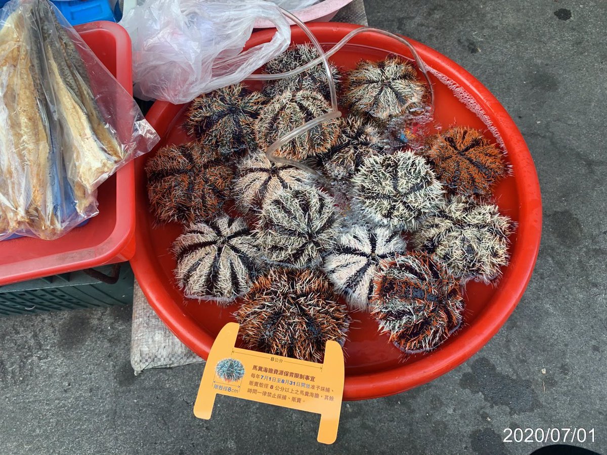 HARVEST68646224's tweet photo. 【丁香魚、秋刀魚、海膽將有專屬重金屬限量標準】
衛福部食藥署29日預告修正「食品中污染物質及毒素衛生標準」，為俗稱丁香魚的日本銀帶鯡、秋刀魚、海膽等3種魚類增訂重金屬鎘限量標準，相較於這3種魚類現行使用「其他魚類」標準，已大為放寬。
https://t.co/Ohb2vdNGFe https://t.co/FXKzA24COT