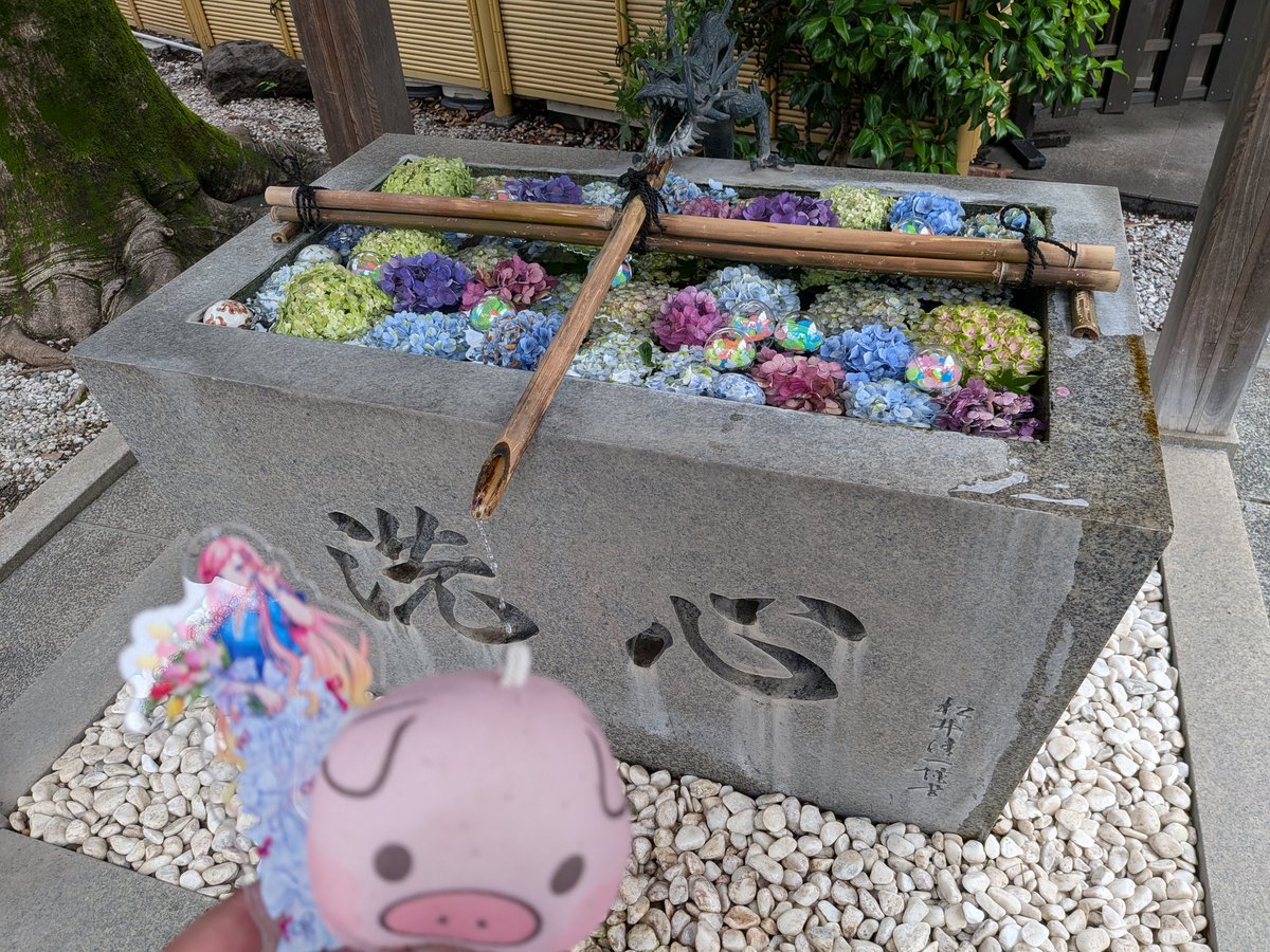 本日1社目は去年毎日が夏祭りの前に立ち寄ってサイン入りポスターを