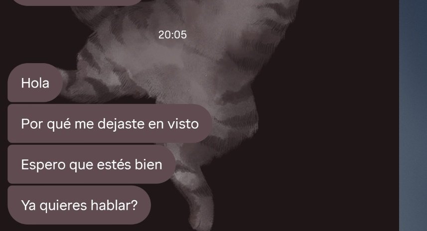 Laaaaula's tweet photo. Queria enojarme, pero esta respetando mi espacio y eso tambien esta bien https://t.co/TY2ktQ9sEV