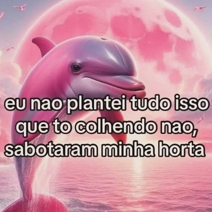 pietratuita's tweet photo. boa noite amigos https://t.co/UxUHYV64c6