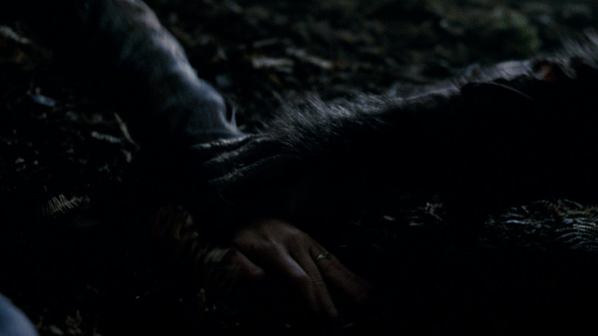 werewolfdaily's tweet photo. Some Wolfman shots in 4k because my heart told me to 🐺❤️ https://t.co/N0lMMCld29