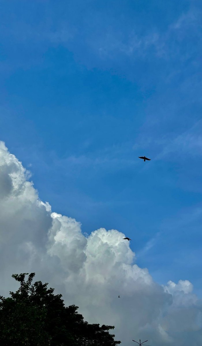Shraddha Patil tweet media