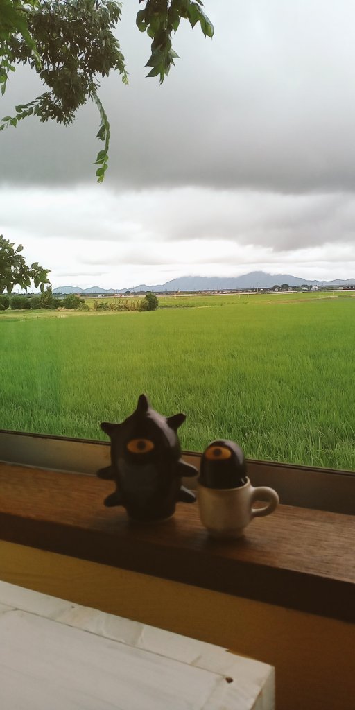 ushinocoffee's tweet photo. 本日も元気に営業開始！
蒸し蒸しするので、しっかり除湿しております。
焙煎したてなので、店内が香ばしいですよー♪ https://t.co/np5p0WiCzU