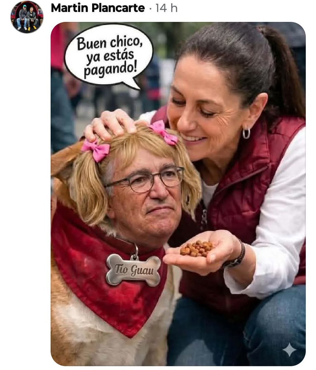 tabacoaztk's tweet photo. @RicardoBSalinas @rochamoya_ @InzunzaCazarez Si Perrita de Trump @RicardoBSalinas https://t.co/GPfLXRmmuf