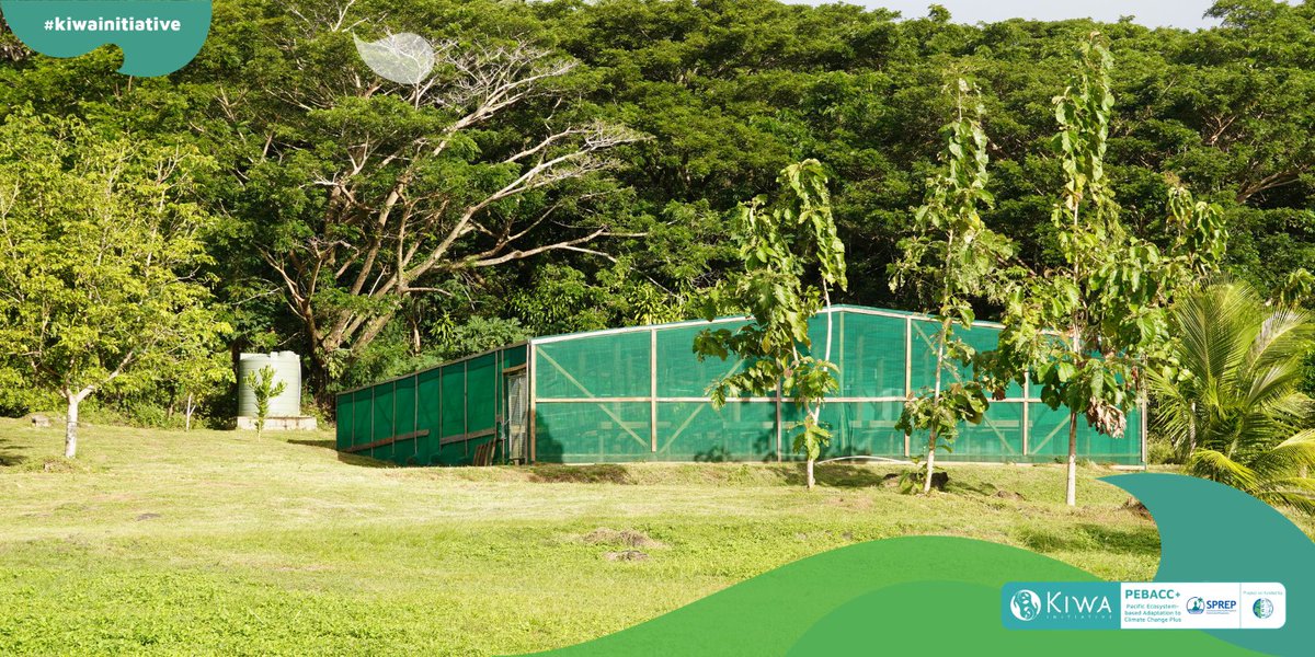 SprepChannel's tweet photo. 🌱Taveuni's upgraded Mua Nursery is now ready. With capacity for 50,000 native tree seedlings, it will strengthen forest restoration, biodiversity conservation &amp; climate resilience for communities. More: https://t.co/Hyh6FUWEoZ PEBACC+ is funded by @InitiativeKiwa &amp; @FFEM_Fr. https://t.co/J4qew60RyA