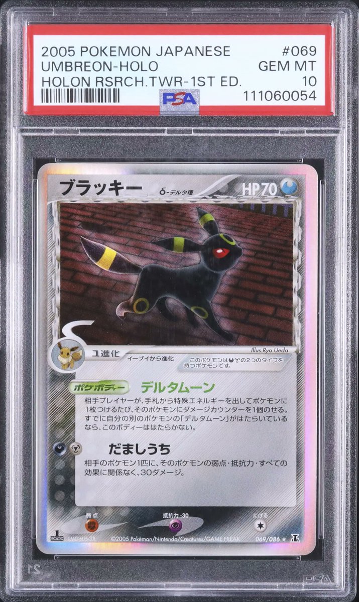 ✦ A193 出品紹介 ✦ 🌟 LOT No. L0316 ブラッキーδ-デルタ種 レア