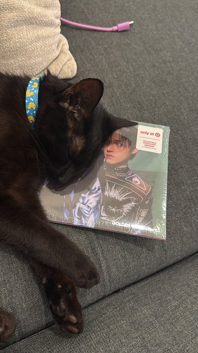 sanniebouncy's tweet photo. UPDATE THERES TEARS IN MY EYES😭😭😭😭 https://t.co/C0CSsxrGaA