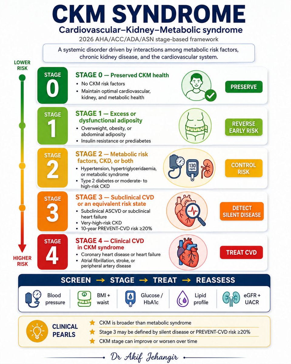 pgMedicine's tweet photo. Cardiovascular–kidney–metabolic syndrome links obesity, diabetes, chronic kidney disease, and cardiovascular disease into one connected framework. Understanding the stage helps you screen earlier, stratify risk better, and intervene before overt cardiovascular events develop https://t.co/ERBxjKVi9i
