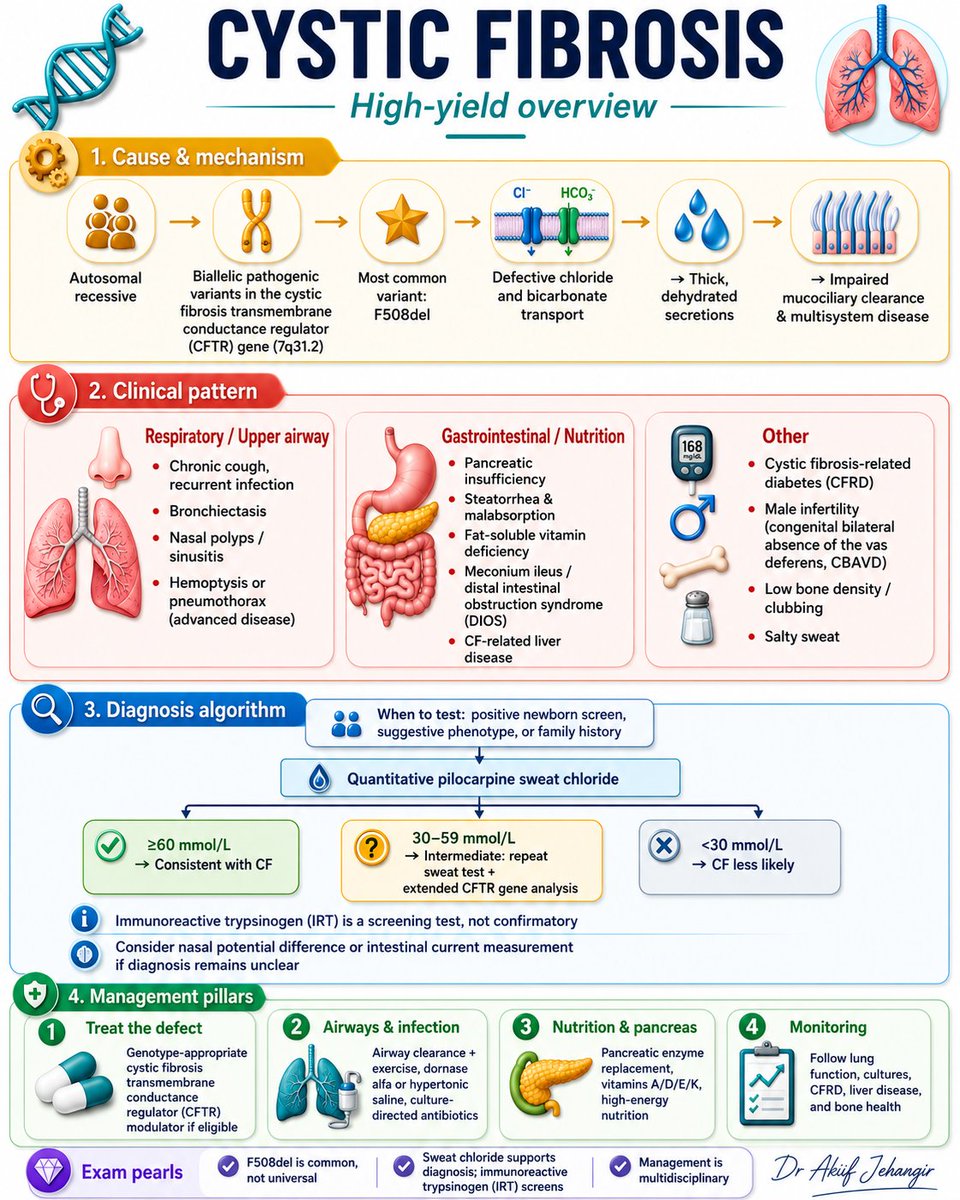 pgMedicine's tweet photo. Cystic Fibrosis: From CFTR Defect to Diagnosis

A concise overview of the genetics, multisystem manifestations, sweat chloride interpretation and core management principles of cystic fibrosis.

#CysticFibrosis #InternalMedicine #Pulmonology #MedicalEducation #ClinicalMedicine https://t.co/9kyHTZuNJz