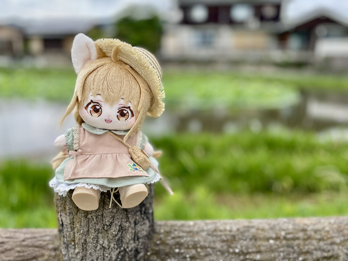 konohanatei tweet picture