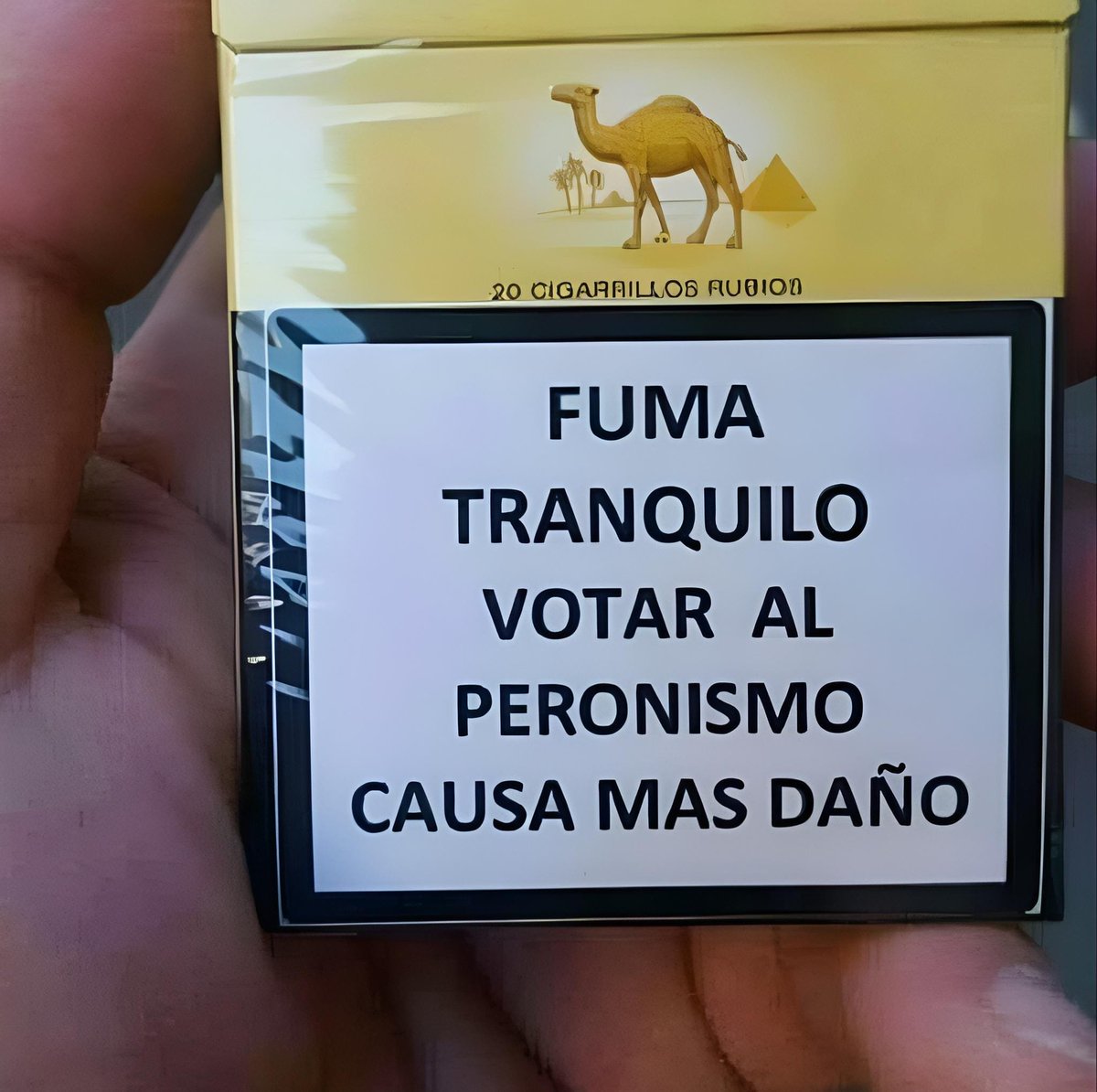 MarceloPato9's tweet photo. @MiguelPichetto https://t.co/akj6i8b16R