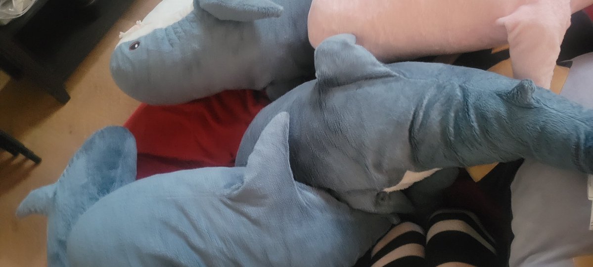 Nova699_'s tweet photo. Laying in a blahaj pile :3
#blahaj #anthrocon https://t.co/BVd5069LZC