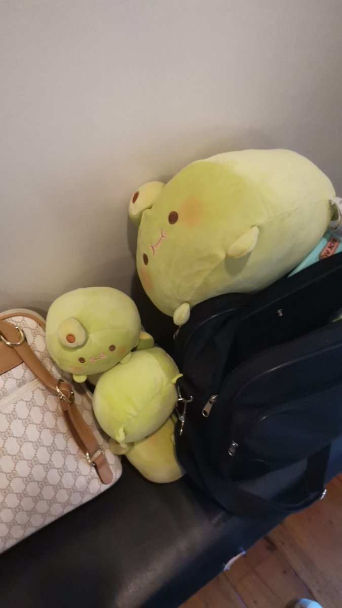 arthmariee's tweet photo. @Pogustine Yess I love them so much! I have  a lot of them and this isn't all of them right now since I can't bring them all 😂 https://t.co/Ua00KpyeKJ