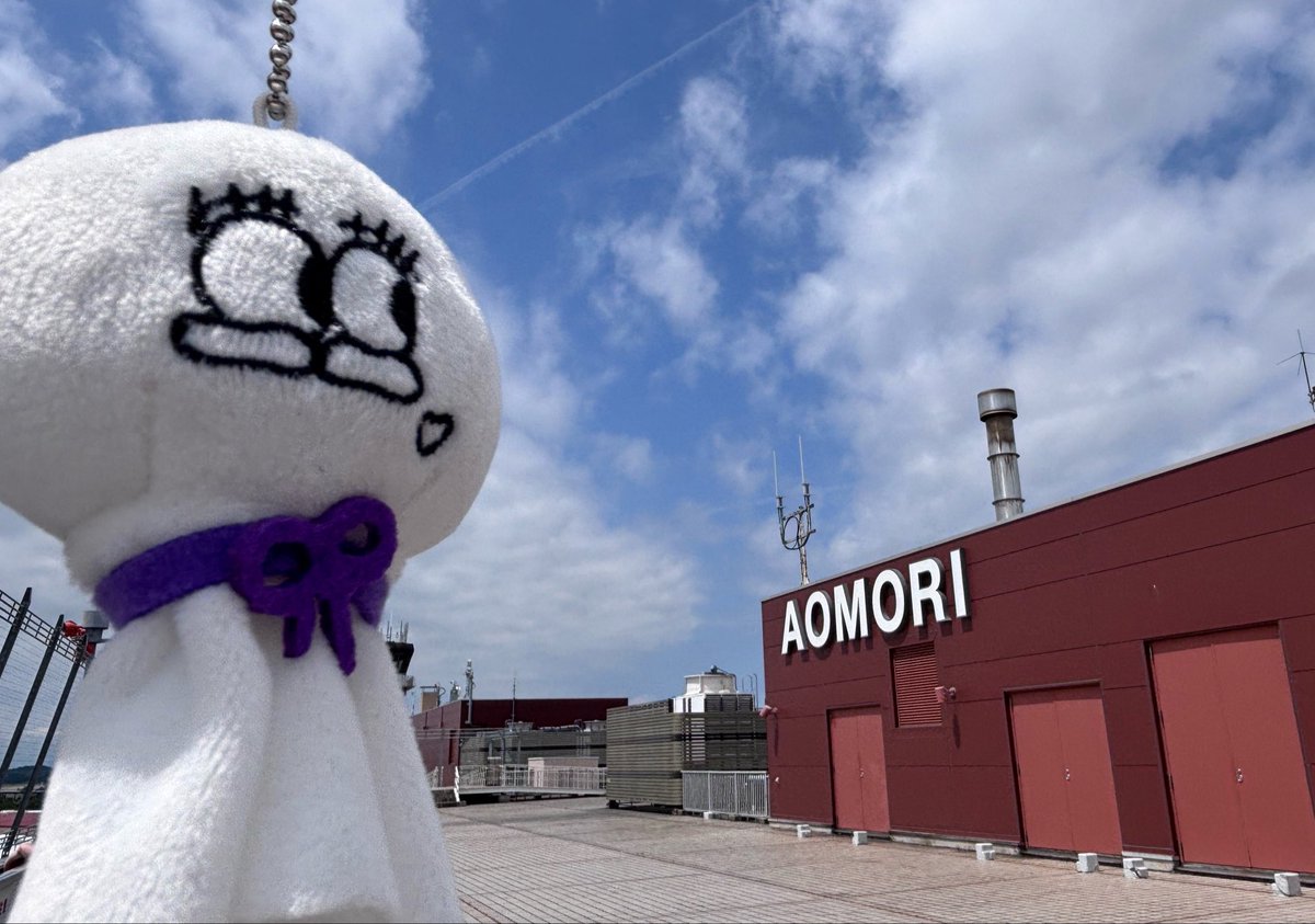 hoshigakimaru's tweet photo. 今日は朝から津軽海峡を渡って、空から本州へ帰還。 https://t.co/zMdf3oIu3k