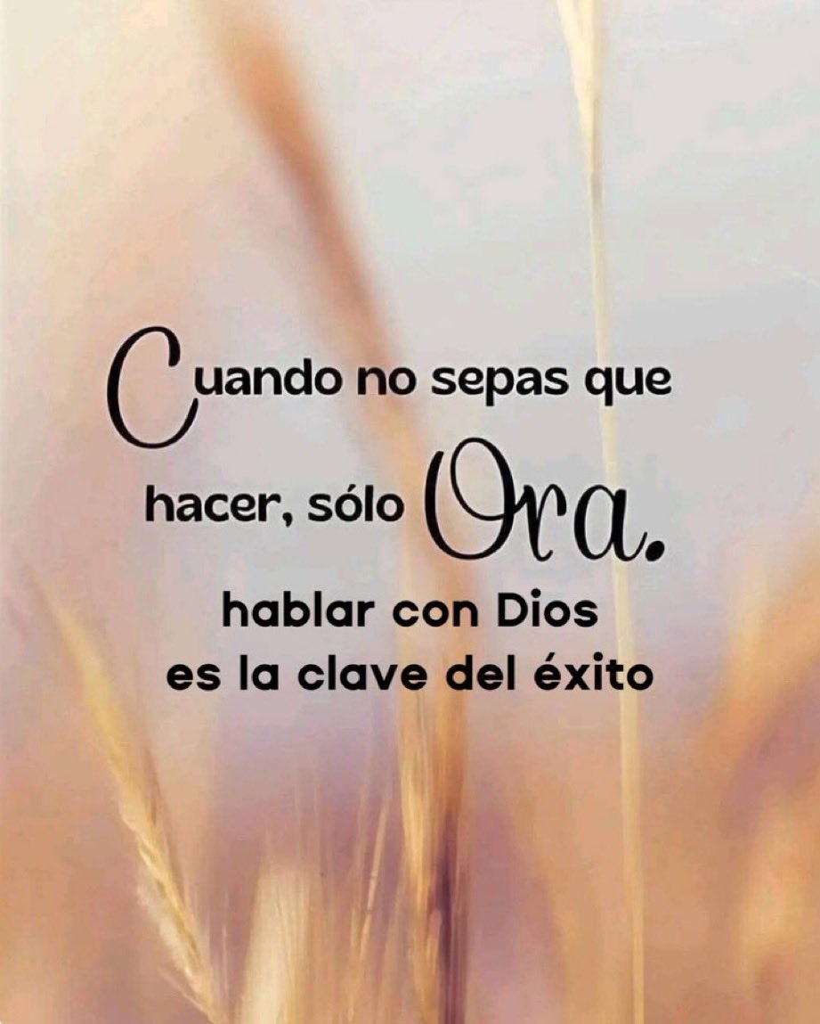 confiamos_en's tweet photo. Amén 🙏🏻 aleluya https://t.co/DqOk85Lsq6