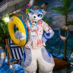Photo by 困到睡眼惺忪 (@Start_SWolf)