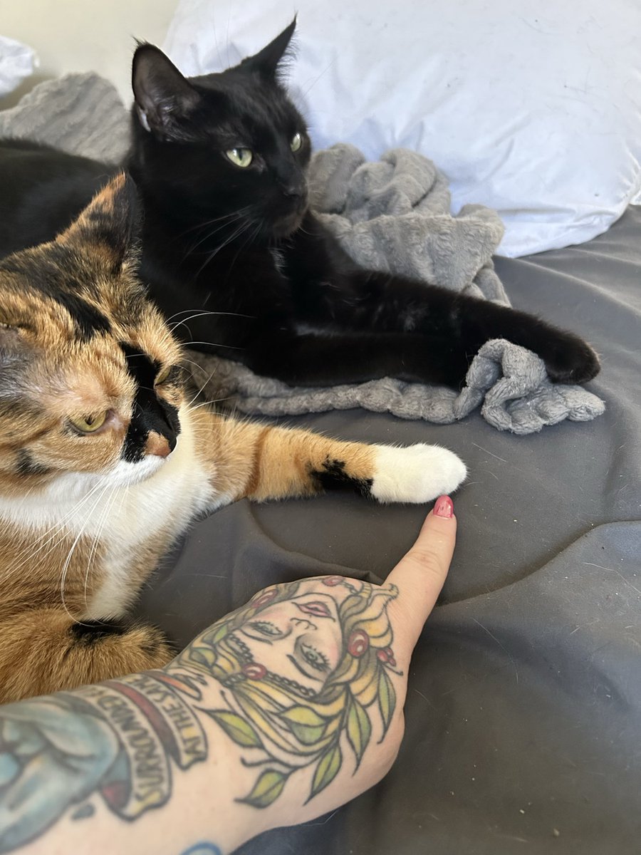 KaleighBaby14's tweet photo. recently ig https://t.co/UkyMghYfmU