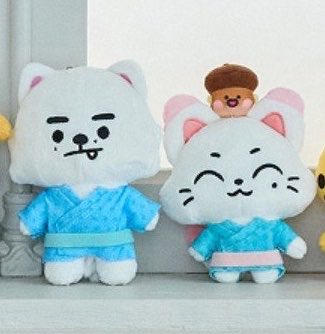 Kungyazlife's tweet photo. Sunghoon 🩵 sunoo                 Snowe 🩷 Kishu https://t.co/IpYIlBkYCY