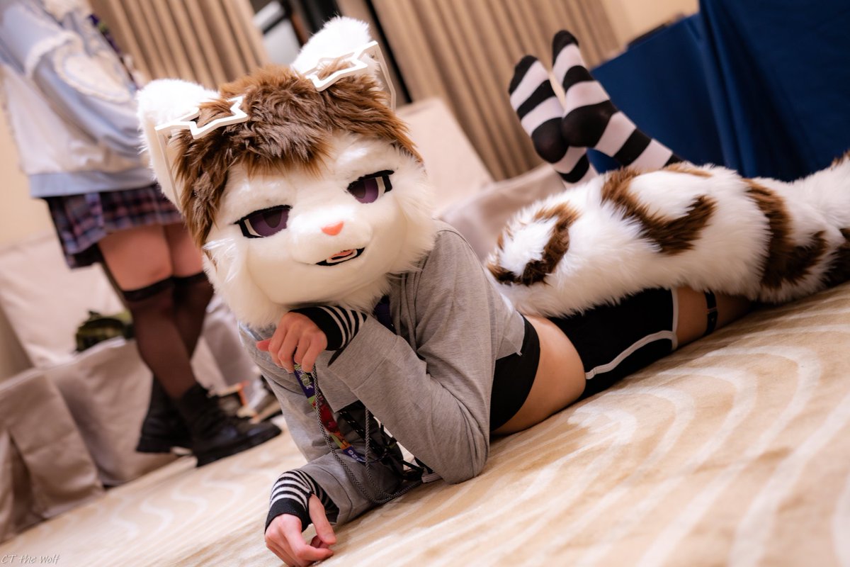 Vincentwhite214's tweet photo. UTFG Femboy panel ✨️
#2026UTFG https://t.co/KJeAX3tiUX