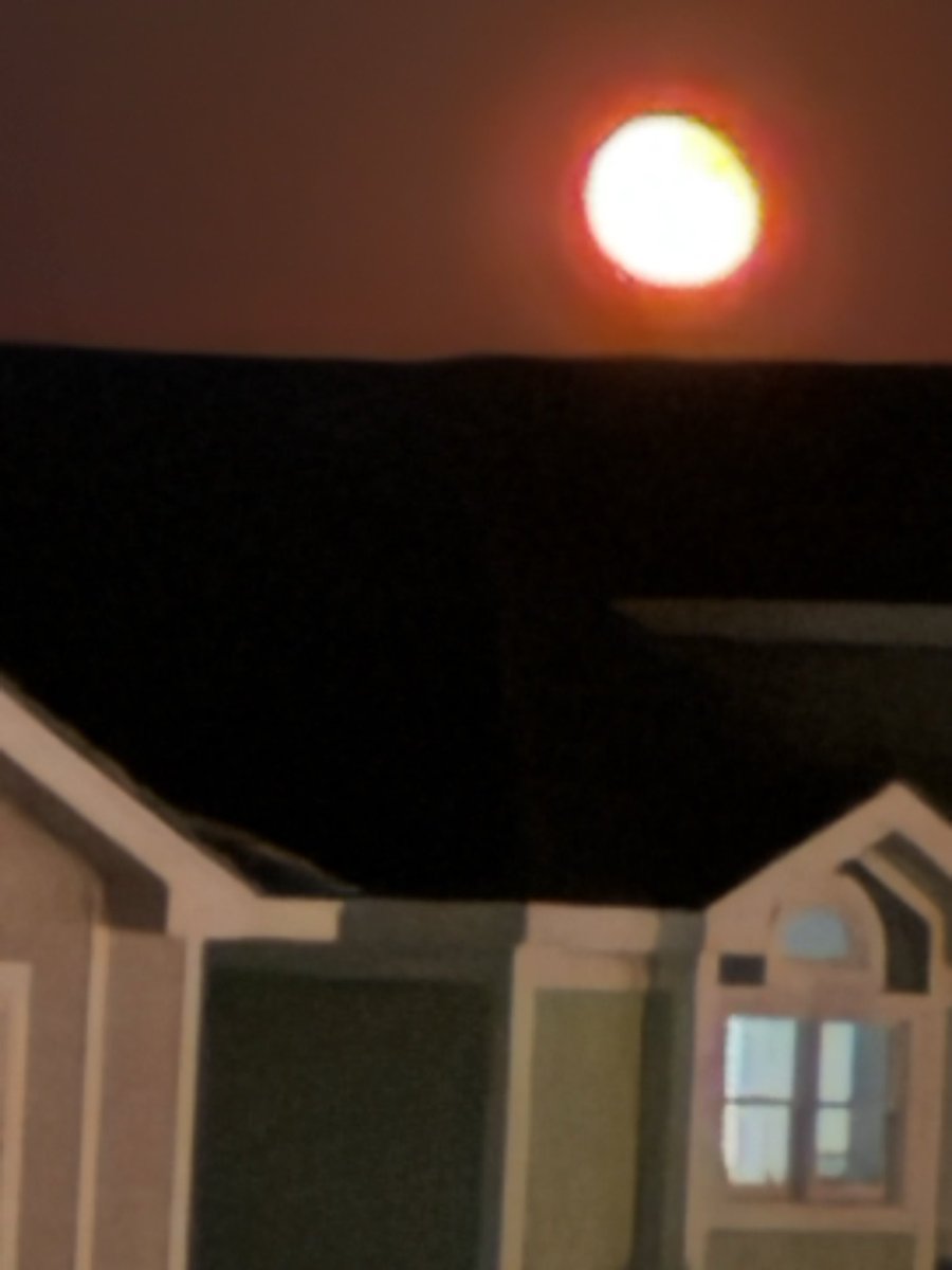 _Adam_________'s tweet photo. terrible picture but the moon looks amazing 🤩 https://t.co/RmvrHjZCN1