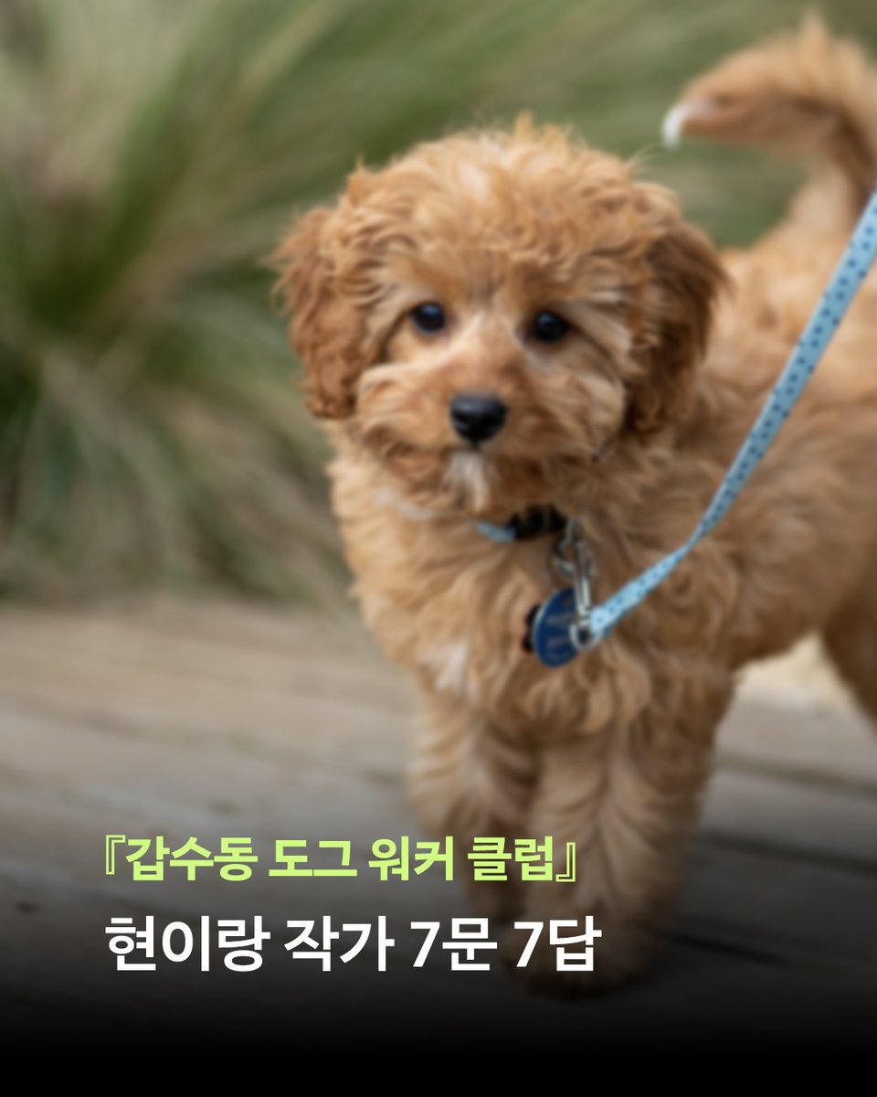 minumsa_books's tweet photo. 현이랑 작가는 신작 장편소설 『갑수동 도그 워커 클럽』에서 불안한 도시의 풍경, 반려동물을 둘러싼 책임과 애정, 그리고 우연한 갈등에서 시작되는 연대의 가능성을 함께 그려 냅니다.

지금 블로그에서 현이랑 작가의 7문7답 인터뷰를 읽어보세요.

👉인터뷰 읽기: https://t.co/F8FlaHVA9T https://t.co/qcrYnkacdU