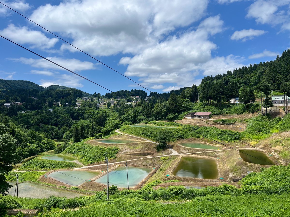 laidbackbsn's tweet photo. 美しい棚田の #山古志 地区。
養鯉場、闘牛場を抜け到着。
四季の里 #古志キャンプ場 。
あまやちの湯に隣接。
出迎えてくれたのは藤井さん。
特別に宿の湧水を汲ませてもらいます。
#BSNラジオ #レイドバックライフ #旅するテント #ホンダカーズ新潟県央 
#山古志 #古志キャンプ場 #あまやちの湯 https://t.co/kWtW4ny3Zp