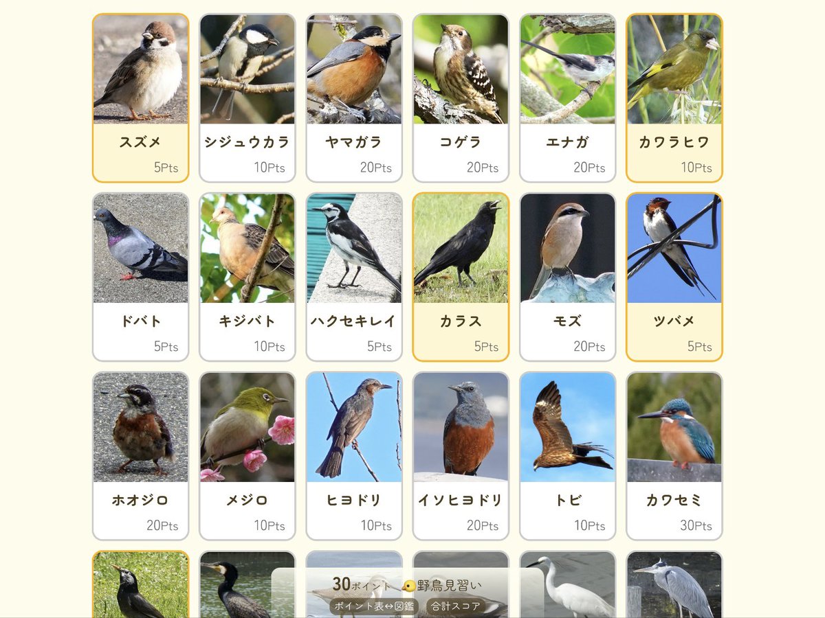 shinchoen's tweet photo. 🐦ちなみに今日の新門司地区のちゅんちゅん野鳥スコアは30ポイントでした。カワラヒワさんがいたのがポイント積み上げに貢献しましたね😂

ってかですよ、新門司の7月で暑すぎないというのは・・・、今年の日本、もしかして、、、普通!? https://t.co/F3lXJn5oNc