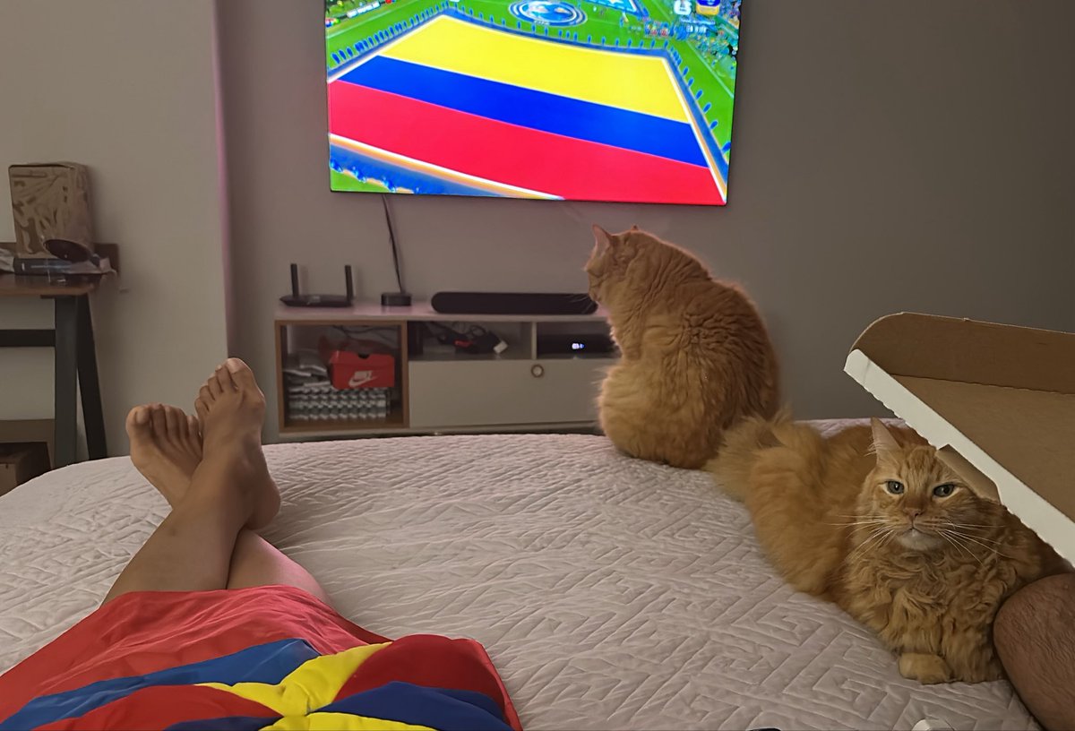 Tatsi_SF's tweet photo. Mis pobres gatos llevan 13 años viendo fútbol conmigo y todavía salen a esconderse cuando pego un gritico. https://t.co/88AQ64aXqN