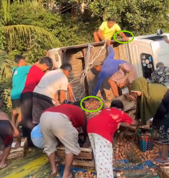 karirfess's tweet photo. Bukti Korupsi Itu Budaya yang Mengakar dari Bawah😰😰

Sebuah mobil pikap pengangkut telur kecelakaan di tanjakan Jembatan Kali Kacangan, Purbalingga, Jawa Tengah (28/6/2026). Sopir Arif (50) dan rekannya Romadhon (23) masih terjebak di kabin.

Warga yang datang ke lokasi?
Bukannya malah menolong.. tapi berebut mengambil telur yang berserakan sampai habis. Sekitar Rp10–13 juta telur utuh lenyap dalam hitungan menit. Miris yaa..

Arif bilang, “Nggak apa-apa ambil satu-dua kilo. Tapi yang bawa satu-dua peti tolong kembalikan. Saya juga rakyat kecil yang lagi usaha.”

Ini gak bisa kita bilang “warga miskin butuh”... gak cocok kalo bilang gini..

Ini cerminan mentalitas kecil-kecilan: kalau ada kesempatan, ambil saja, siapa yang rugi?

Gitu kan konsepnya..