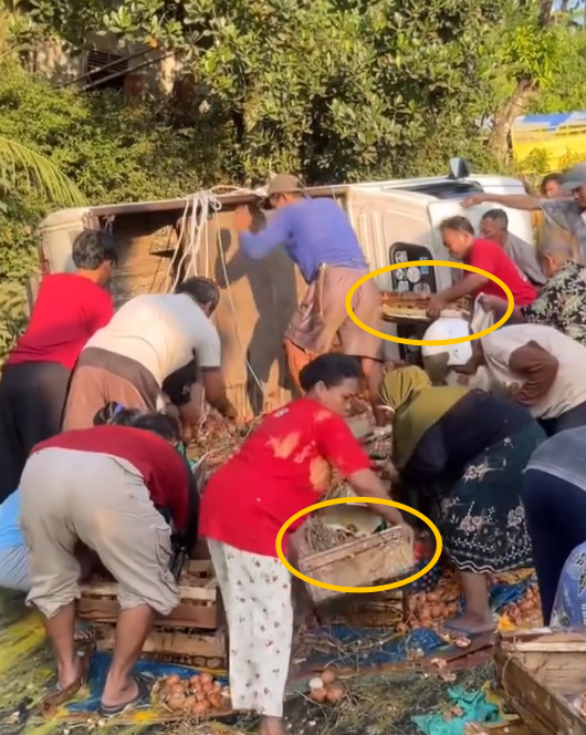 karirfess's tweet photo. Bukti Korupsi Itu Budaya yang Mengakar dari Bawah😰😰

Sebuah mobil pikap pengangkut telur kecelakaan di tanjakan Jembatan Kali Kacangan, Purbalingga, Jawa Tengah (28/6/2026). Sopir Arif (50) dan rekannya Romadhon (23) masih terjebak di kabin.

Warga yang datang ke lokasi?
Bukannya malah menolong.. tapi berebut mengambil telur yang berserakan sampai habis. Sekitar Rp10–13 juta telur utuh lenyap dalam hitungan menit. Miris yaa..

Arif bilang, “Nggak apa-apa ambil satu-dua kilo. Tapi yang bawa satu-dua peti tolong kembalikan. Saya juga rakyat kecil yang lagi usaha.”

Ini gak bisa kita bilang “warga miskin butuh”... gak cocok kalo bilang gini..

Ini cerminan mentalitas kecil-kecilan: kalau ada kesempatan, ambil saja, siapa yang rugi?

Gitu kan konsepnya..