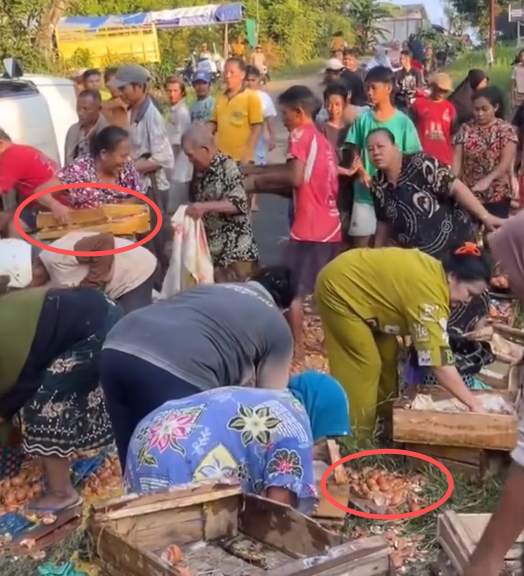 karirfess's tweet photo. Bukti Korupsi Itu Budaya yang Mengakar dari Bawah😰😰

Sebuah mobil pikap pengangkut telur kecelakaan di tanjakan Jembatan Kali Kacangan, Purbalingga, Jawa Tengah (28/6/2026). Sopir Arif (50) dan rekannya Romadhon (23) masih terjebak di kabin.

Warga yang datang ke lokasi?
Bukannya malah menolong.. tapi berebut mengambil telur yang berserakan sampai habis. Sekitar Rp10–13 juta telur utuh lenyap dalam hitungan menit. Miris yaa..

Arif bilang, “Nggak apa-apa ambil satu-dua kilo. Tapi yang bawa satu-dua peti tolong kembalikan. Saya juga rakyat kecil yang lagi usaha.”

Ini gak bisa kita bilang “warga miskin butuh”... gak cocok kalo bilang gini..

Ini cerminan mentalitas kecil-kecilan: kalau ada kesempatan, ambil saja, siapa yang rugi?

Gitu kan konsepnya..