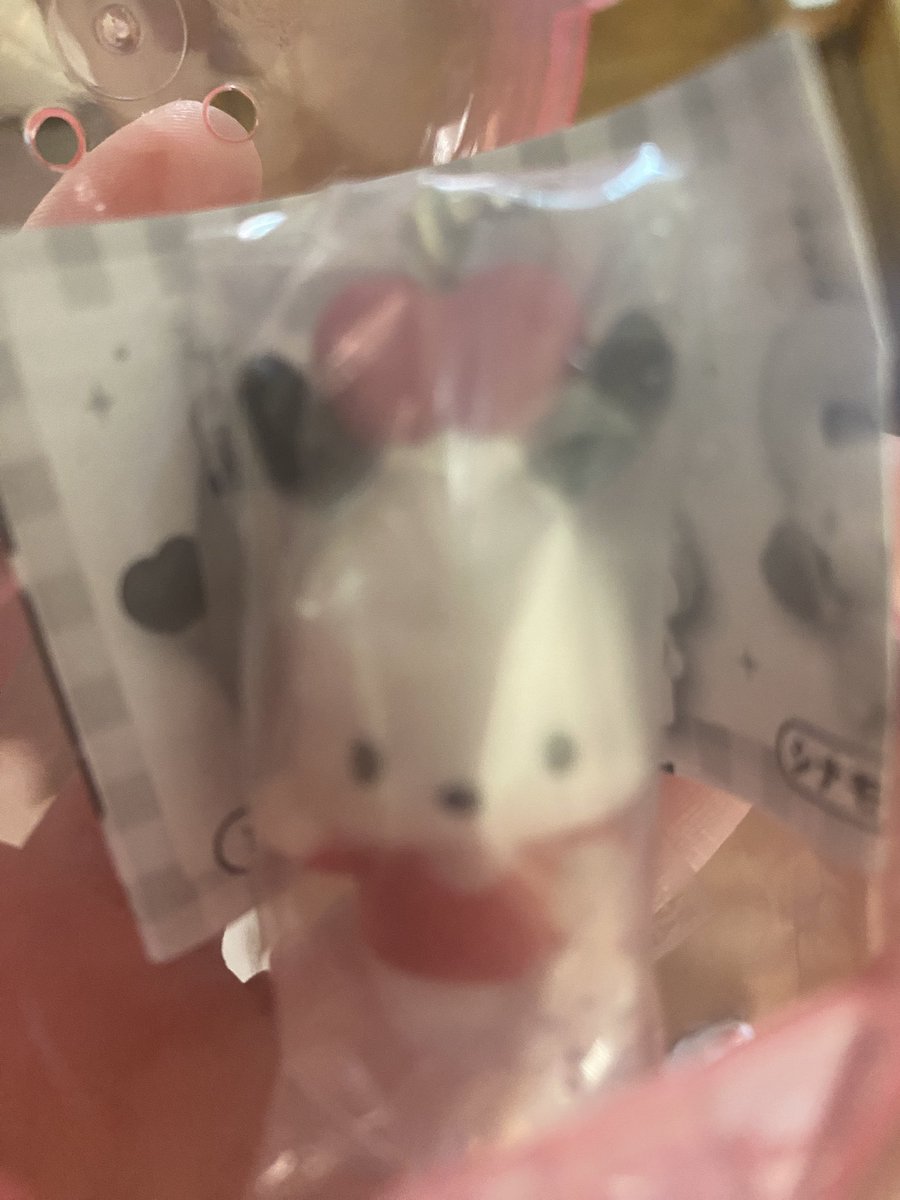 chiimero613's tweet photo. @t06m22s27 はじめまして🥰
ポチャッコを所持しているのですが
マイメロと交換は可能でしょうか？
ご検討よろしくお願いいたします🙇🏻‍♀️🙇🏻‍♀️ https://t.co/0Lx77zOCh3