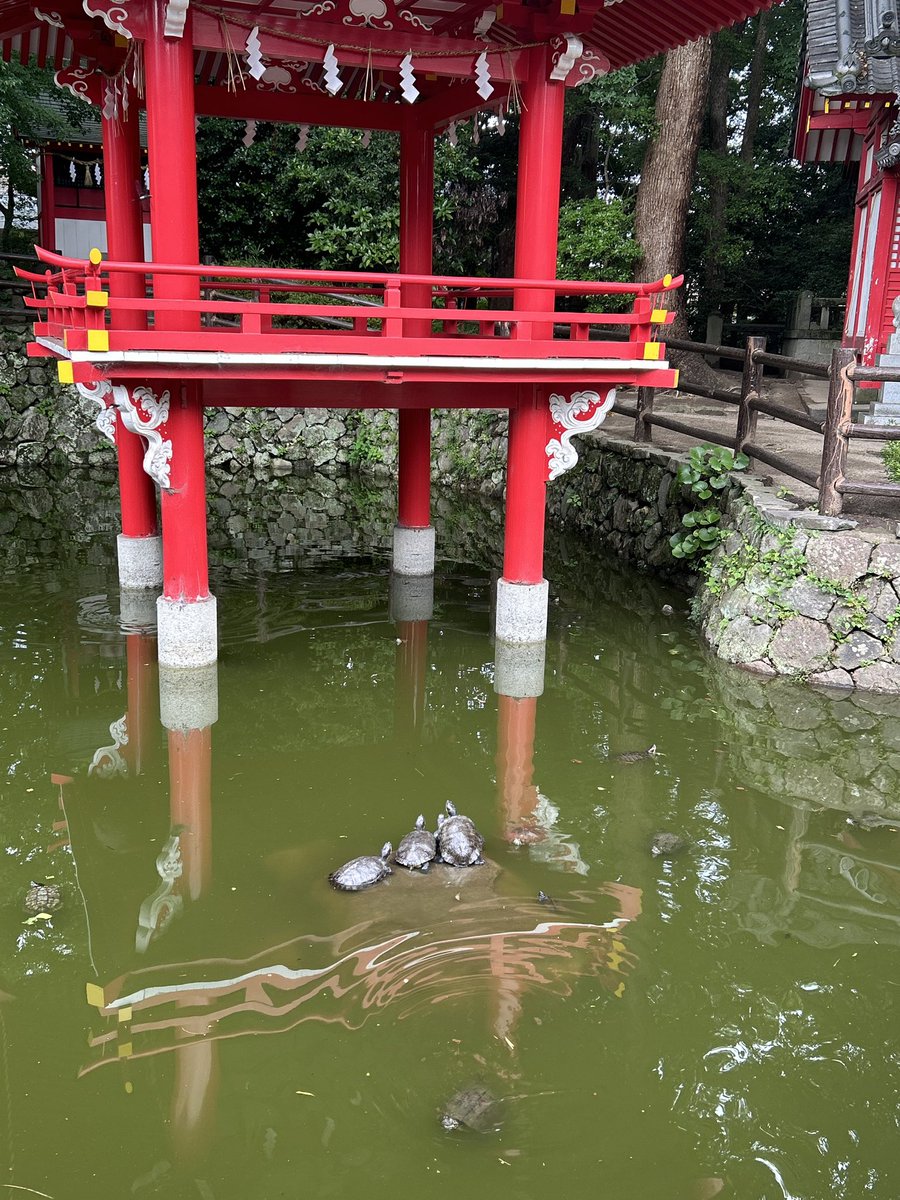 runrun11mini's tweet photo. 夏越しの大祓え
気持ち切り替えて来ました https://t.co/rWQRql0dzD