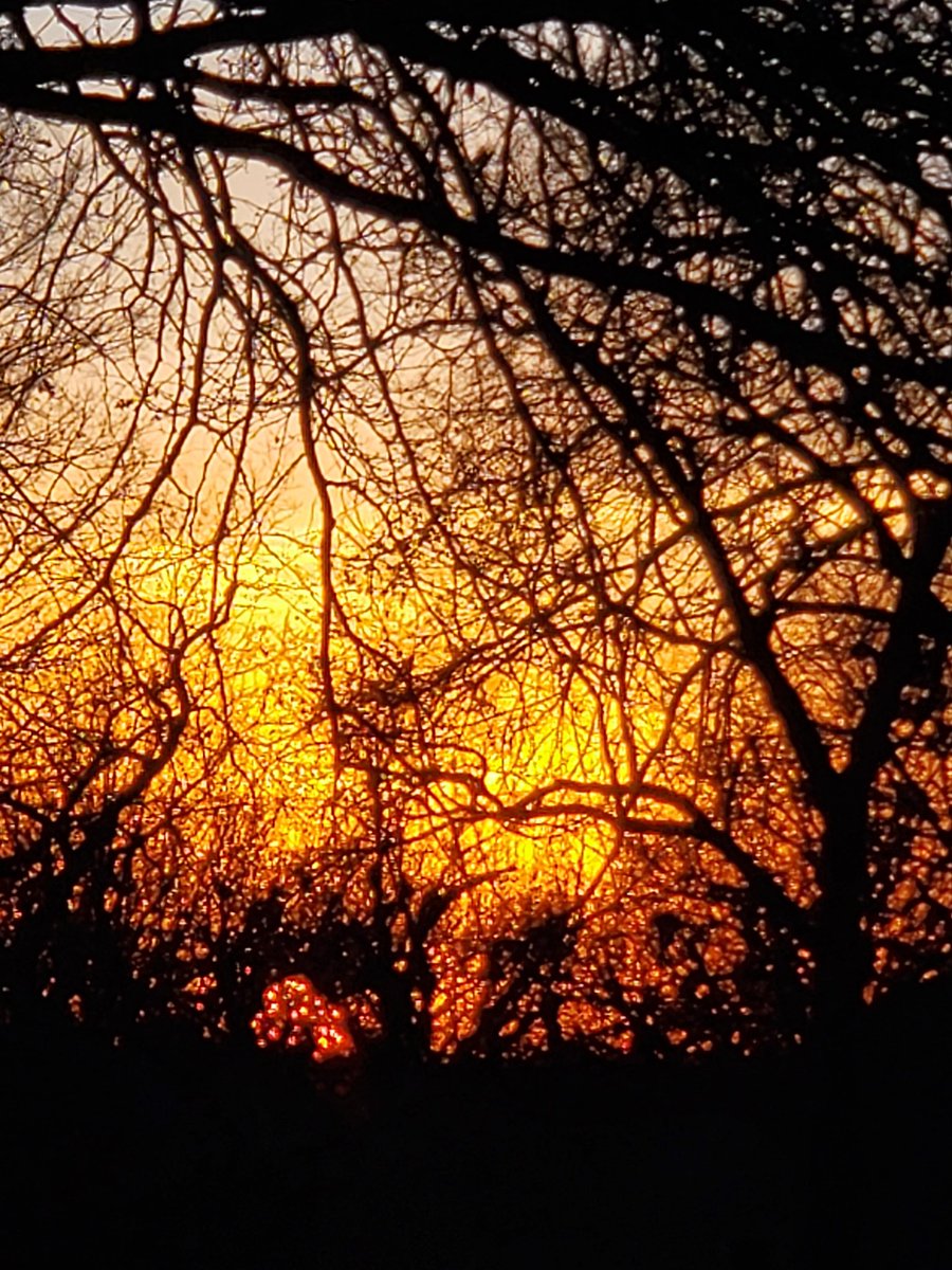 all4Matron's tweet photo. I have hundreds of sunset photos https://t.co/rFSVCG5t6M