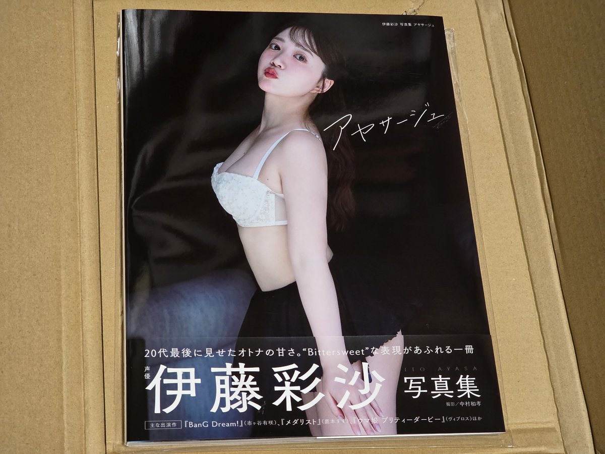 お仕事中に女性声優の写真集を鑑賞してしまうオタク こ、これは芸術