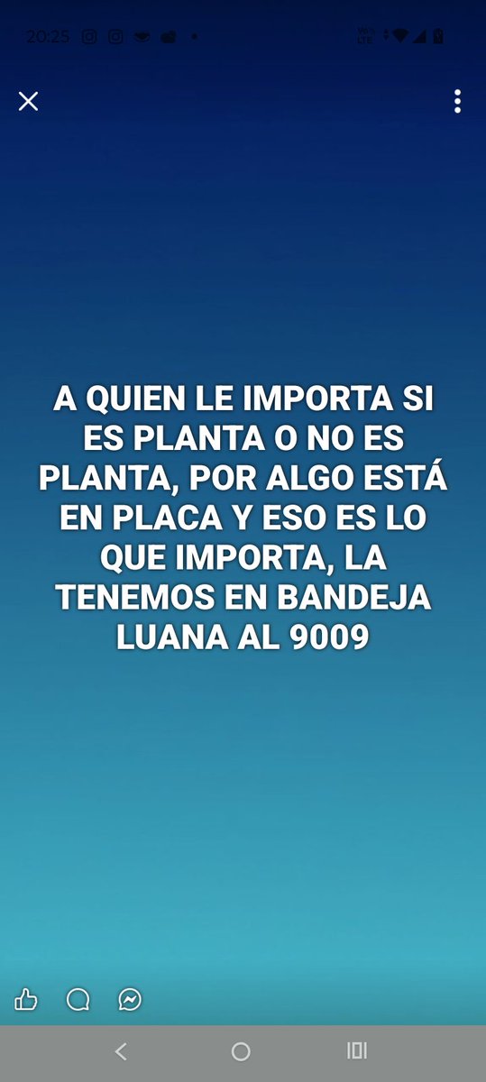 AgussLanzelotta's tweet photo. LUANA AL 9009 
#granhermano https://t.co/nDvytiBwUV
