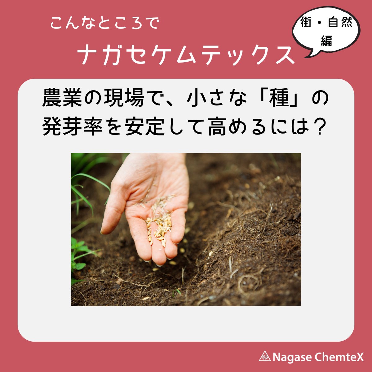 ncx_official's tweet photo. Q. 農業の現場で、小さな「種」の発芽率を安定して高める工夫とは？🌱

A. 「種子を優しく包み込む」
種子の表面をコーティングして発芽率を高め、農業現場での作物の安定した収穫に貢献することが期待されています。

#こんなところでナガセケムテックス https://t.co/7aIonDbC4H