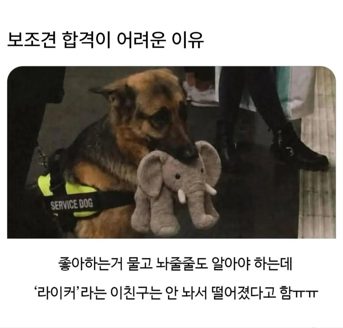 hey_sucheol's tweet photo. 저건 좀 들고다니게 해조라 https://t.co/PUWXcDcHSo