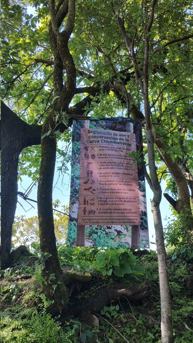 nery_casper's tweet photo. Realizamos algunas acciones de conservación de la Cueva Chichihuítecan en la Colonia los Tepeguajes, Ahuatepec, Morelos. https://t.co/WZvz21XMT8