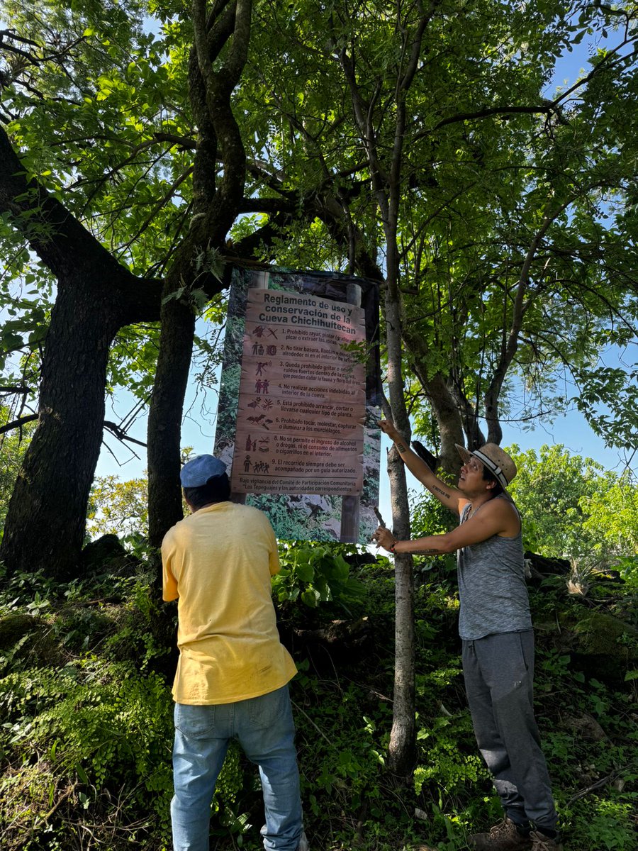 nery_casper's tweet photo. Realizamos algunas acciones de conservación de la Cueva Chichihuítecan en la Colonia los Tepeguajes, Ahuatepec, Morelos. https://t.co/WZvz21XMT8